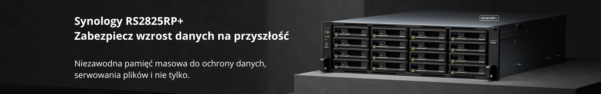 RS2825RP+